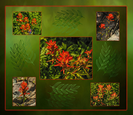 Indian Paintbrush Composite Fabric Panel - FLR-021C