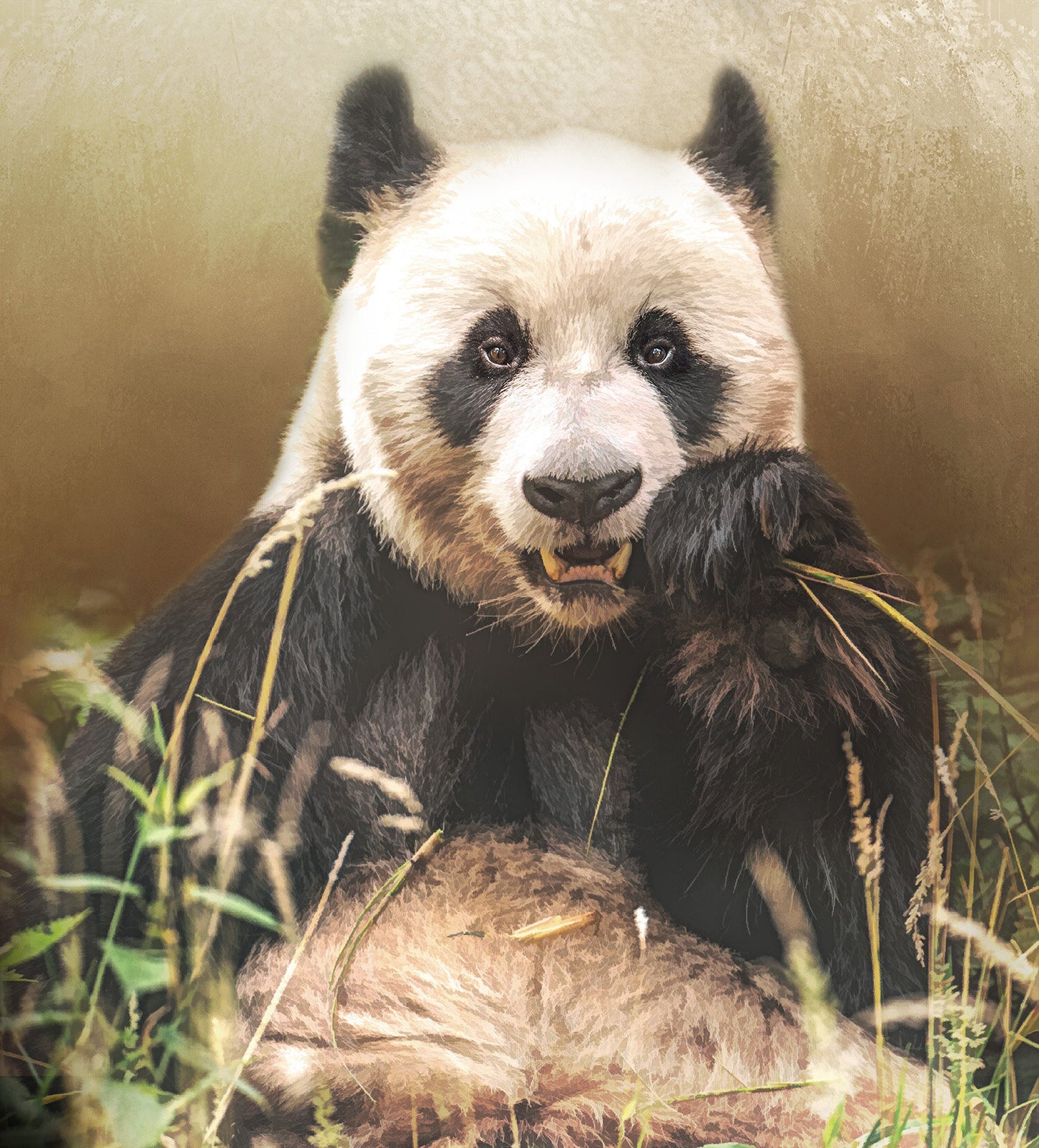 Giant Panda Bear Fabric Panel - AEX-006C