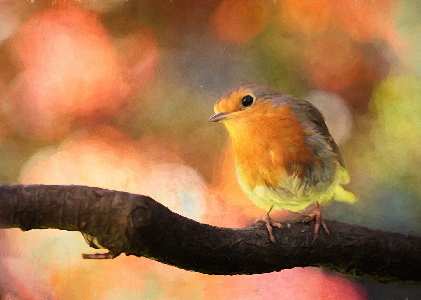Pastel Bird Fabric Panel - BOY-003C