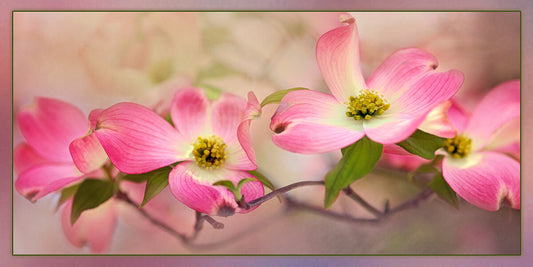 Pink Dogwood Fabric Panel - FLR-044C