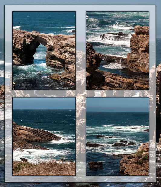 Point Buchon California Quilt Fabric Panel - NPC-006C