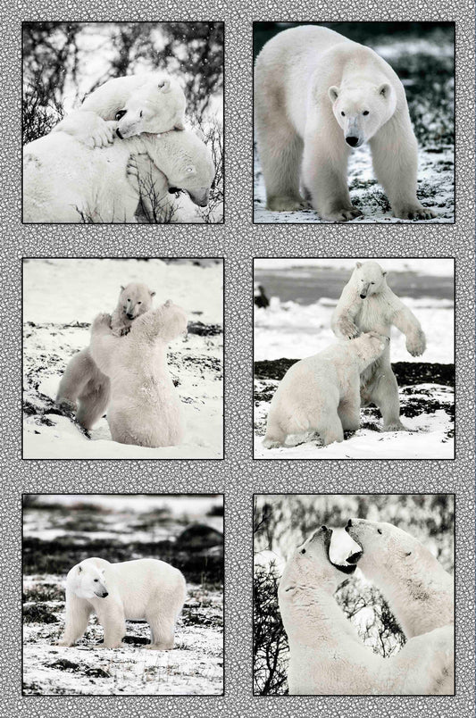 Polar Bears Fabric Panel - ANW-050C