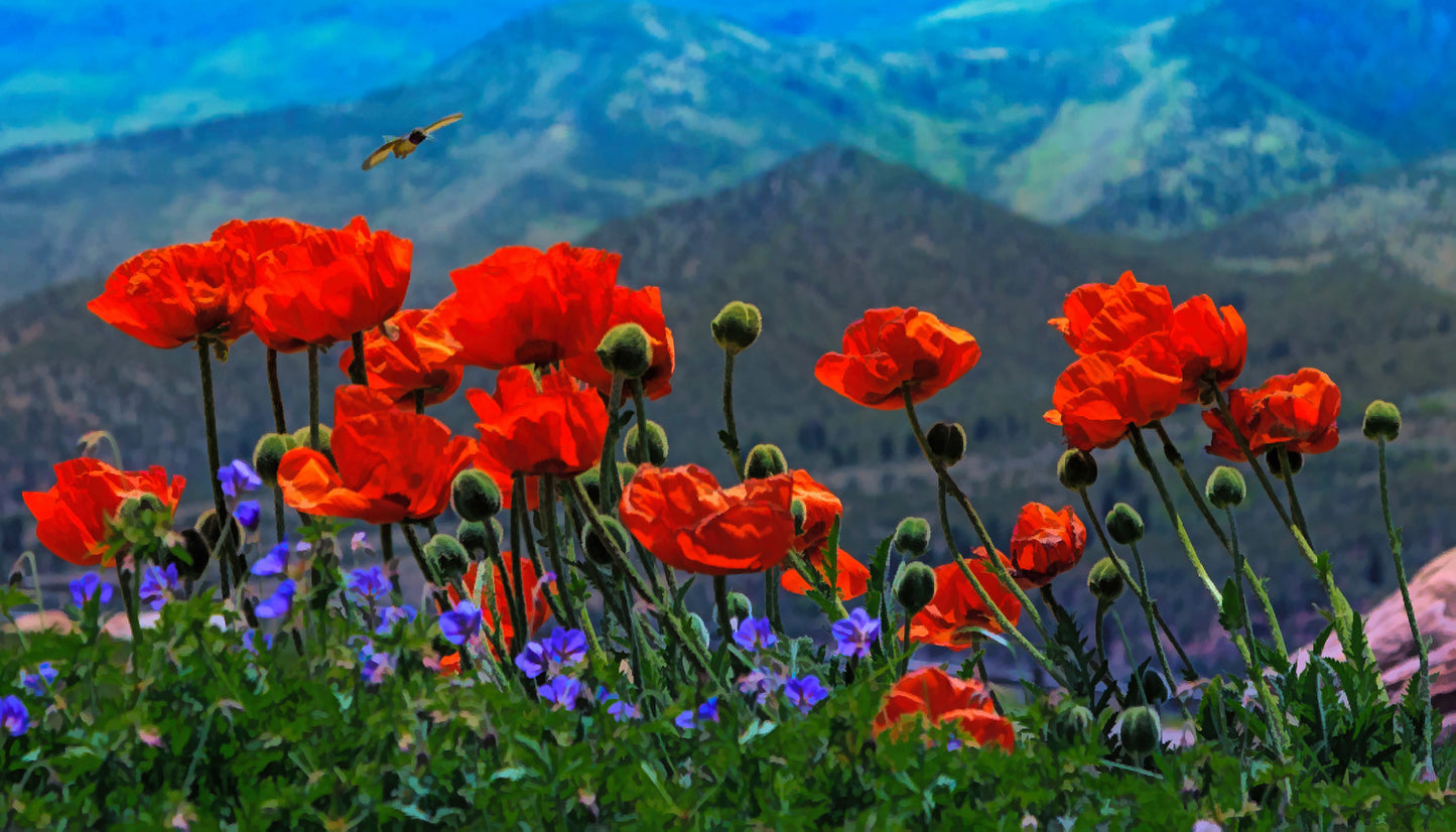 Fun Size Red Poppies Blue Mountain Fabric Panel - FUN-030