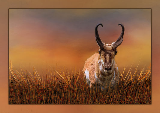 Lone Antelope/Pronghorn Fabric Panel - ANW-033C