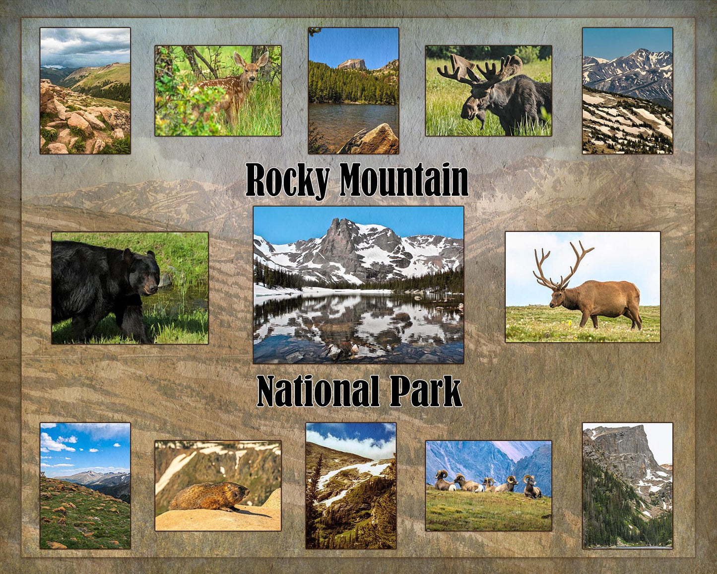 Rocky Mountains National Park Composite Fabric Panel - NPW-001C