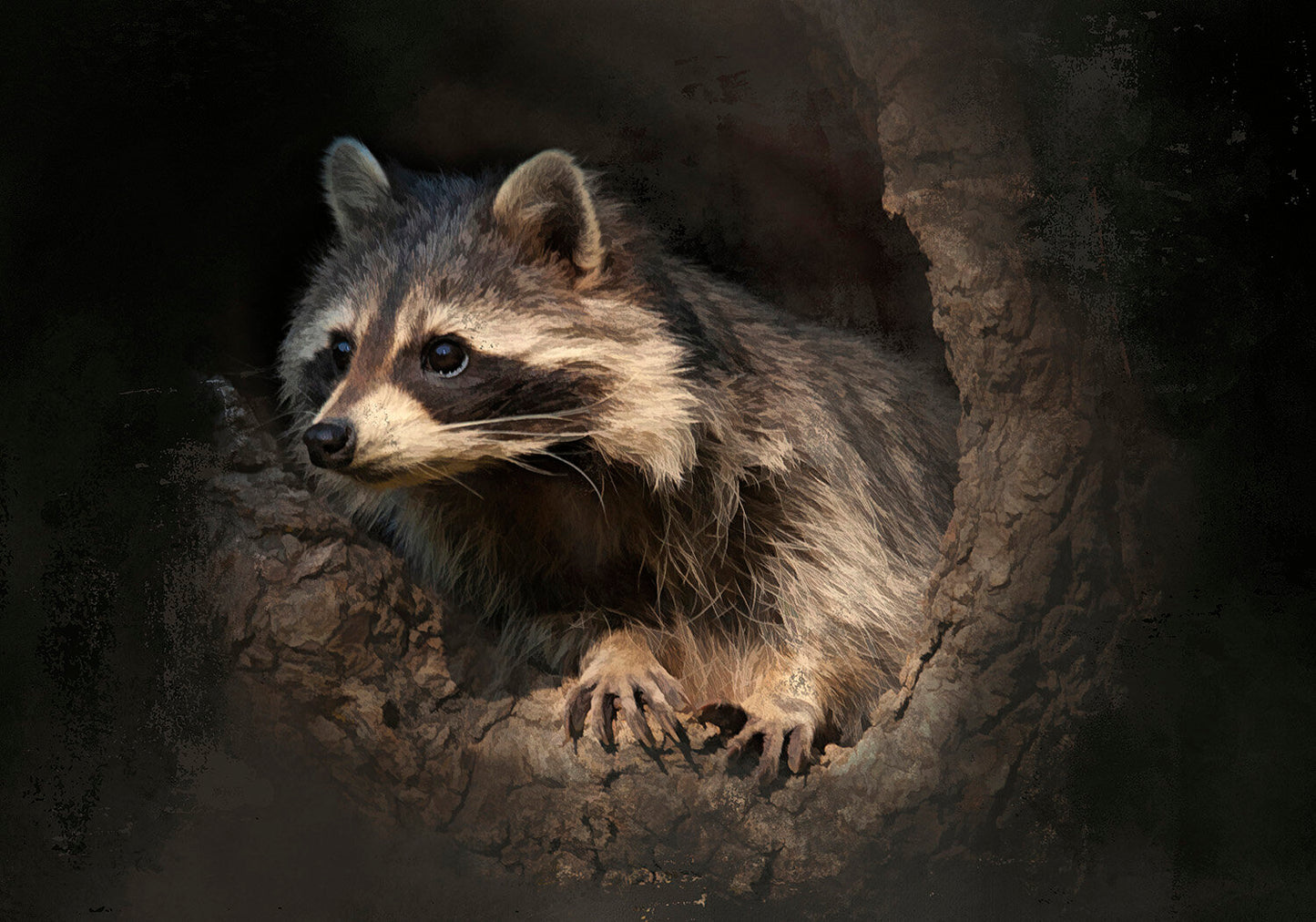 Single Baby Raccoon Fabric Panel - ANW-058C