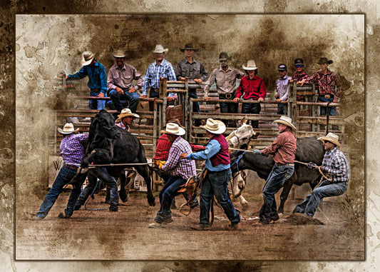 Ranch Rodeo Chaos Fabric Panel - CBY-015C