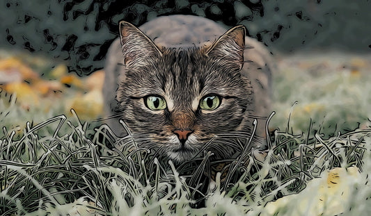 Ready to Pounce Fabric Panel - ADP-010C