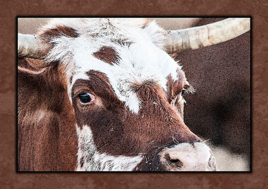 Longhorn Steer Closeup Fabric Panel - ACW-008C