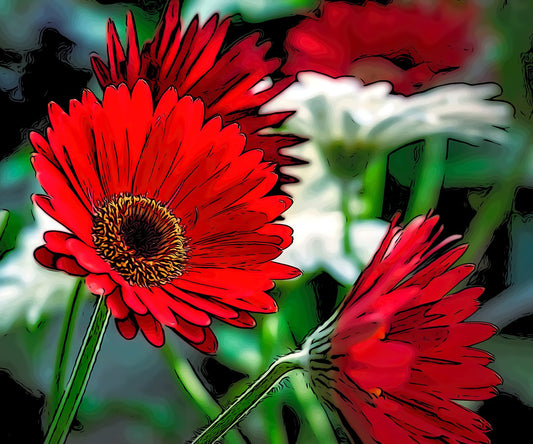 Red and White Daisies Fabric Panel - FLR-035C