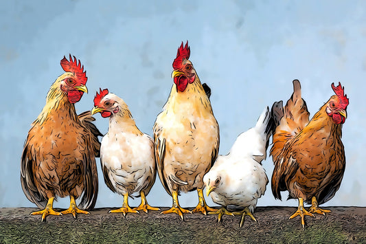 Row of Chickens Fabric Panel - BCR-007C
