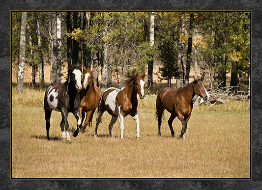 Running Paint Horses Fabric Panel - AHS-014C