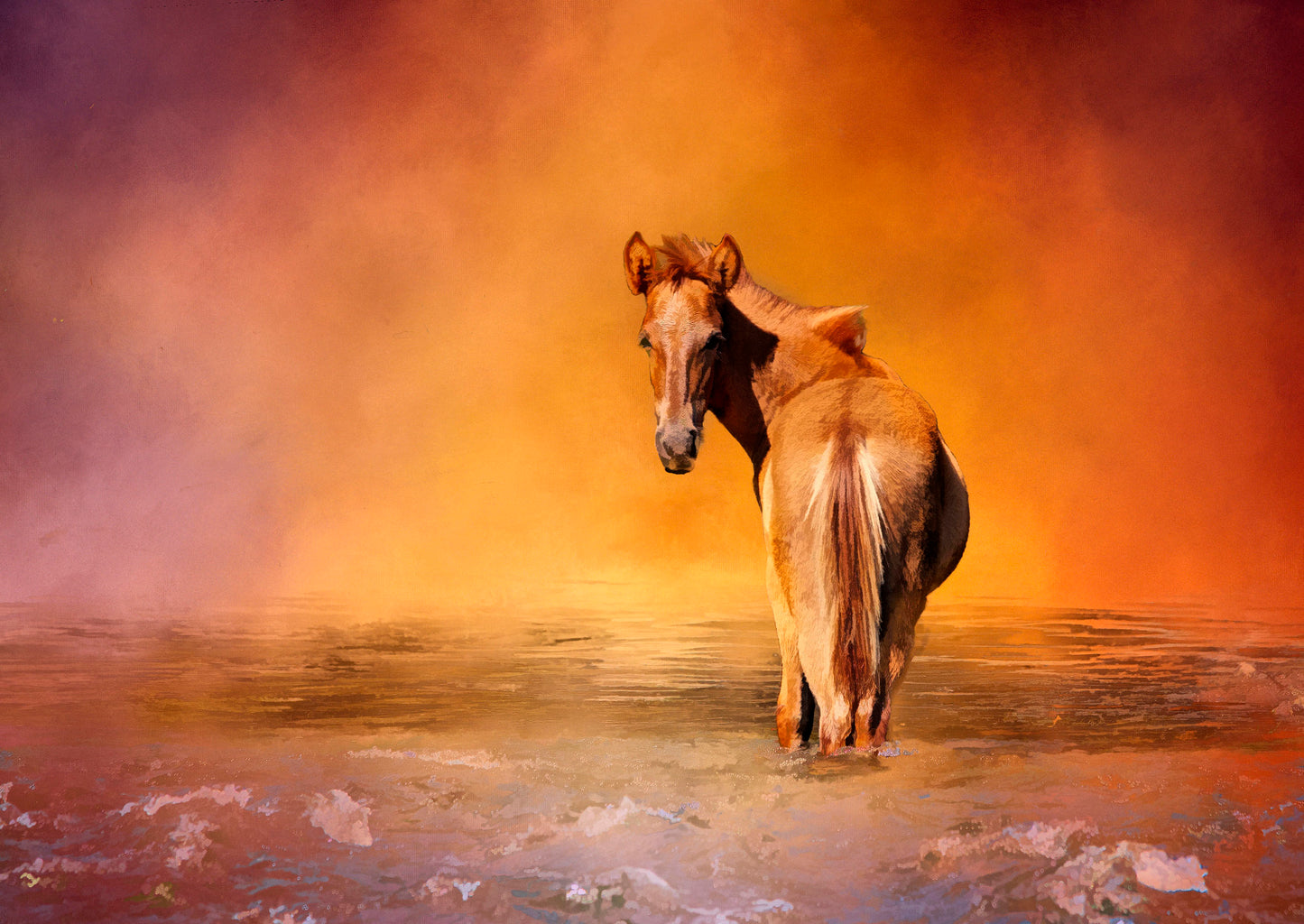 Salt River Colt Fabric Panel - AHS-052C