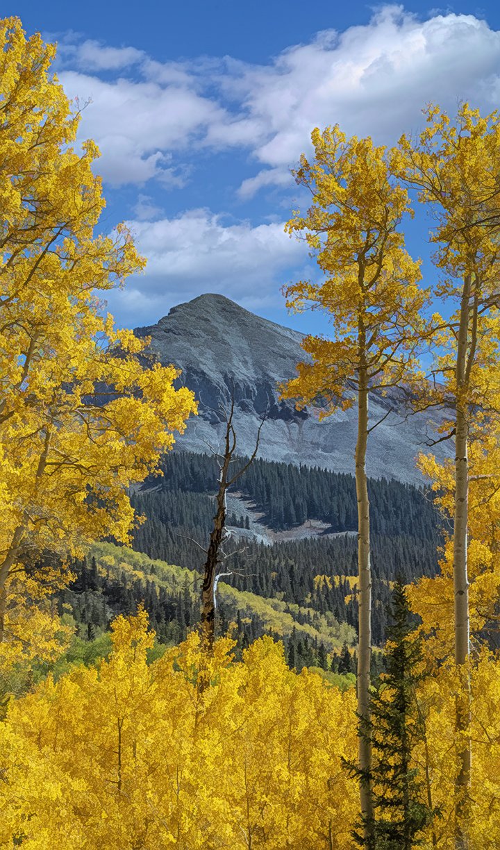 San Juan Mountain Fall Fabric Panel - SCO-020C
