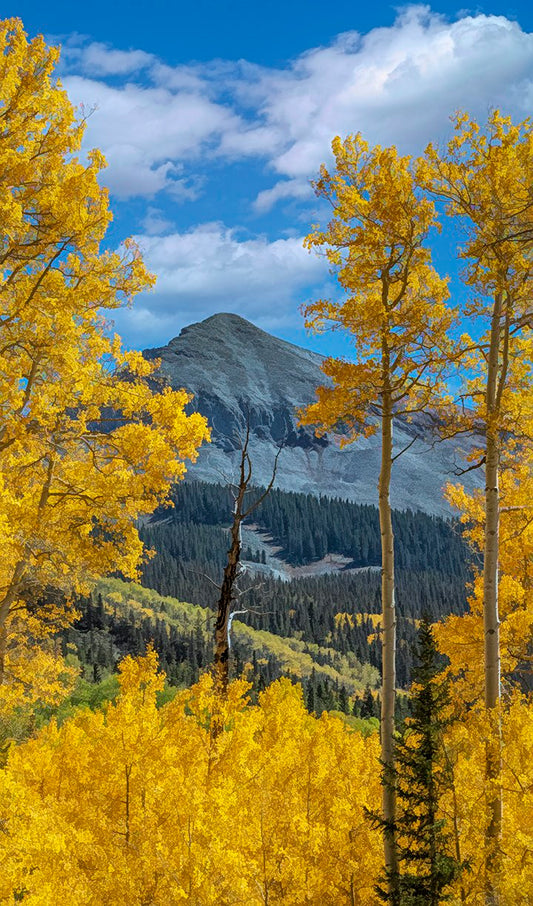 San Juan Mountain Fall Fabric Panel - SCO-020C