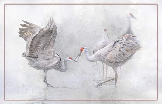 Sandhill Crane Mating Dance Fabric Panel - BSB-009C