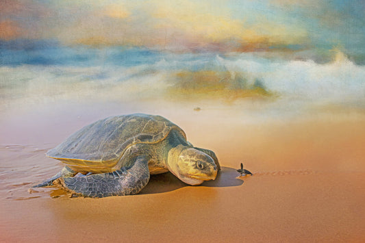 Sea Turtle on Beach with Baby Fabric Panel - OCE-017C