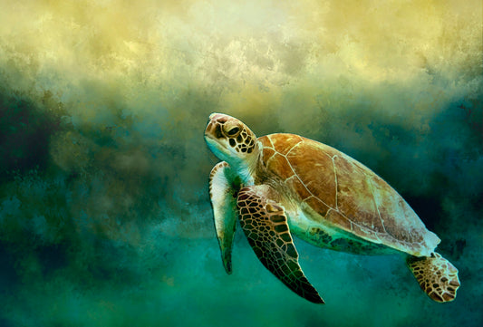 Sea Turtle Fabric Panel - OCE-016C