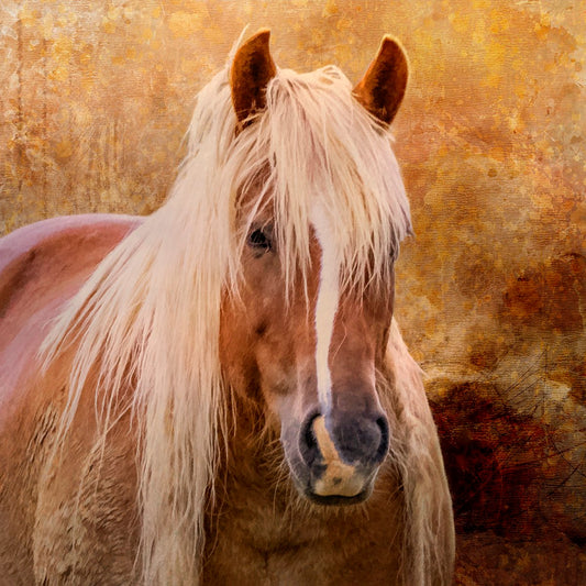 Shaggy Palomino Fabric Panel - AHS-045C