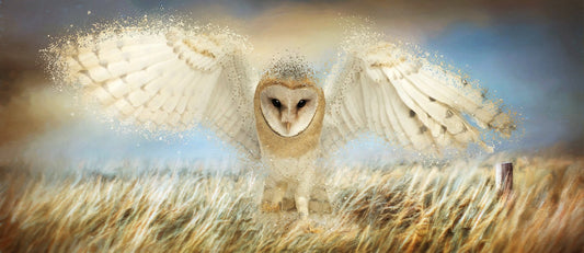 Snowy Owl Fabric Panel - BBP-008C