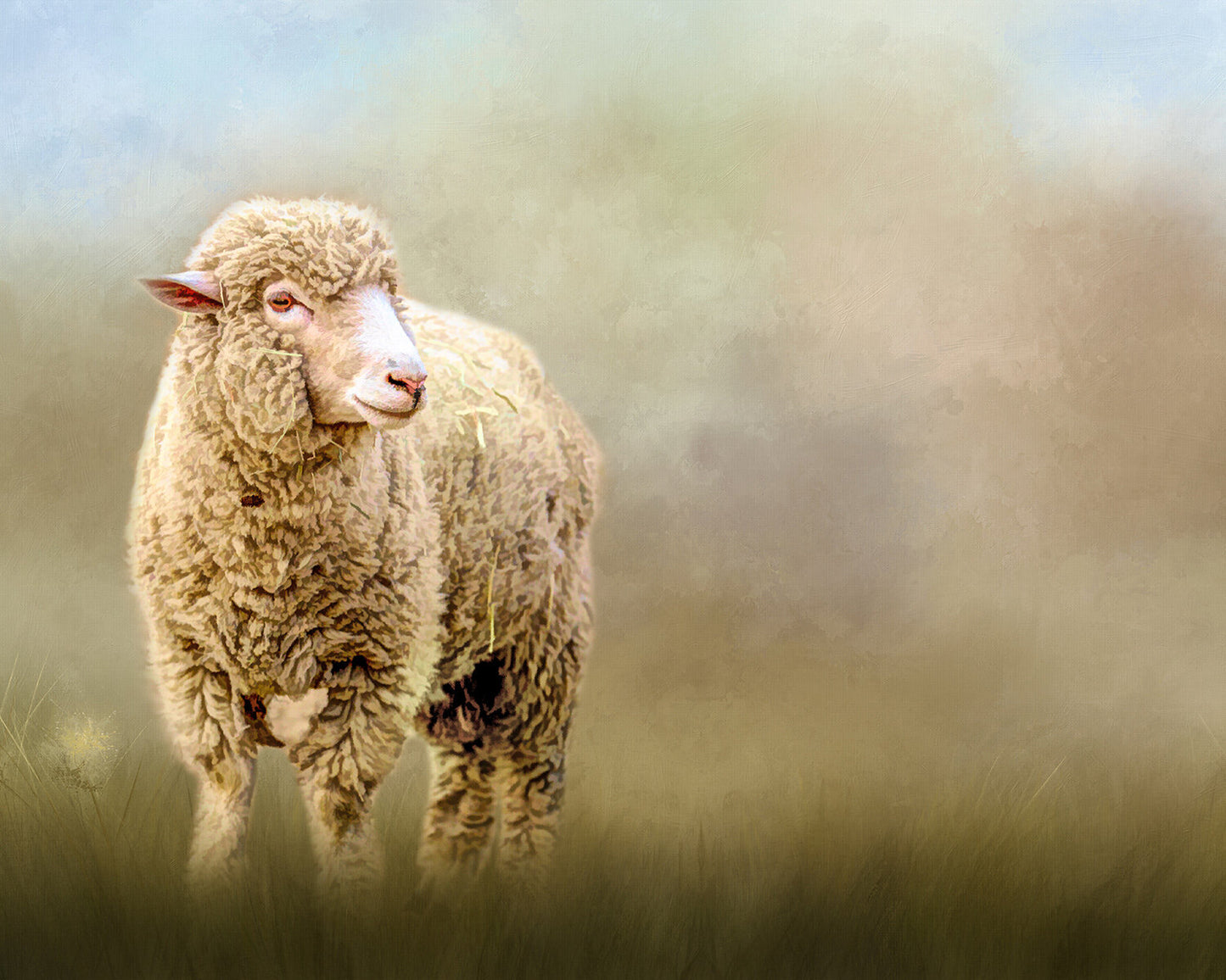 Solitary Sheep Fabric Panel - AFF-009C