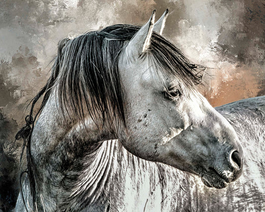 Gray Stallion Closeup Fabric Panel - AHS-007C