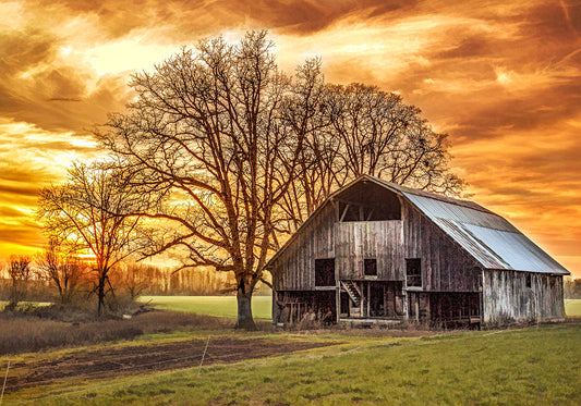 Sunset Barn Fabric Panel - FAR-010C