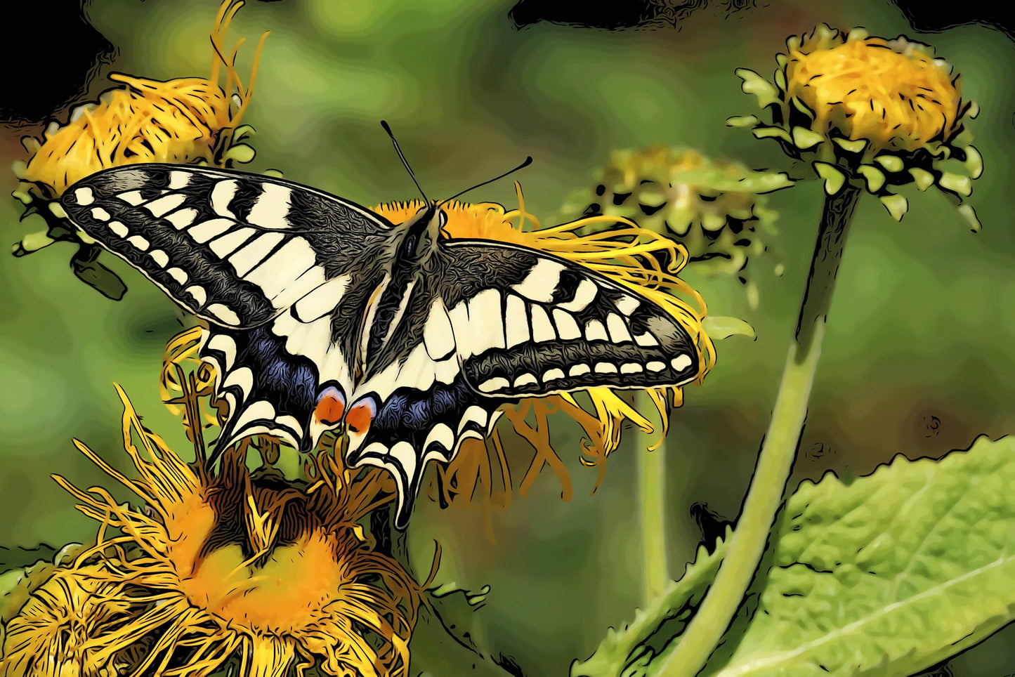 Illustrated Swallowtail Fabric Panel - BRM-006C
