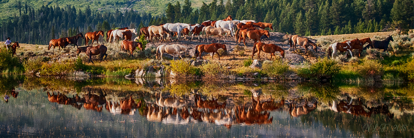 Cowboys and Horses Reflection Fabric Panel - AHS-034C