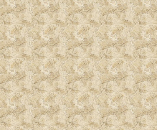 Tan Stone Fabric - FOFY-024 - Focus on Fabric Yardage