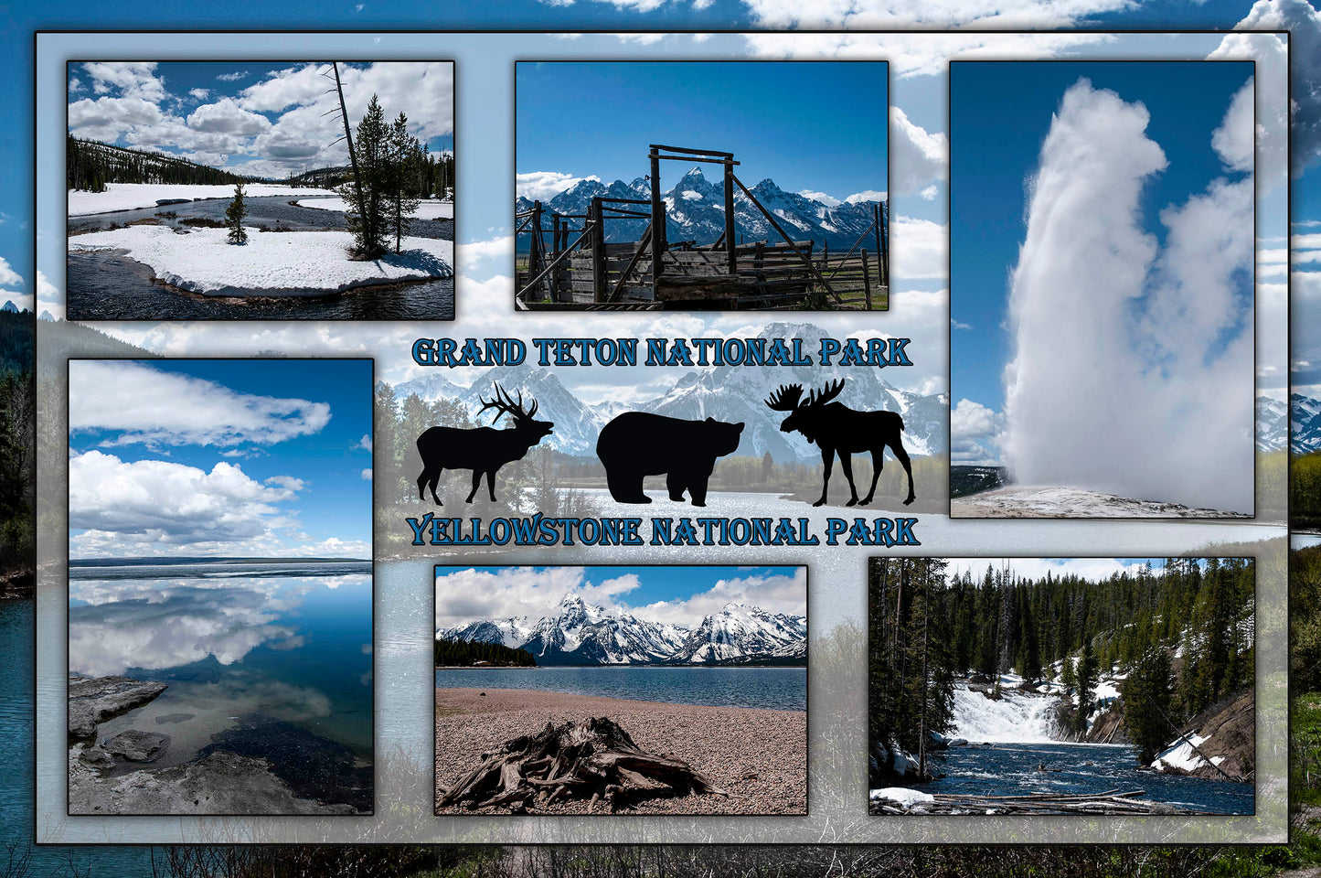Grand Teton Snake & Yellowstone National Parks in Spring Fabric Panel - NPGT-011C