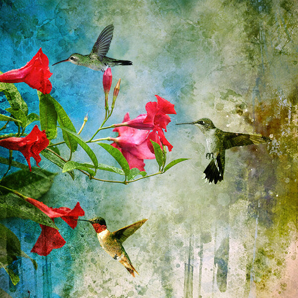 Three Hummingbirds on Fuchsia Fabric Panel - BHB-019C