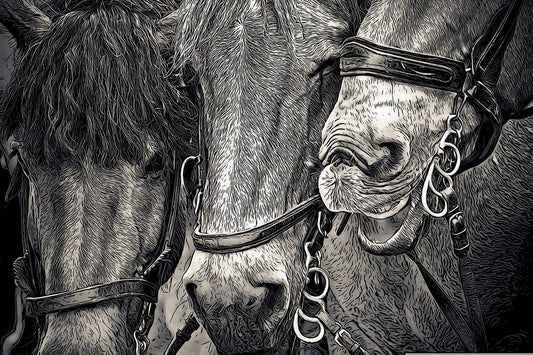 Pencil Sketch Horses Fabric Panel - AHS-026C
