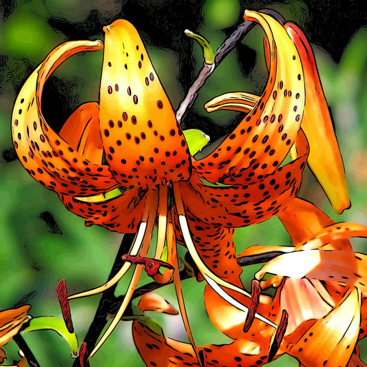 Tiger Lily Fabric Panel - FLR-036C