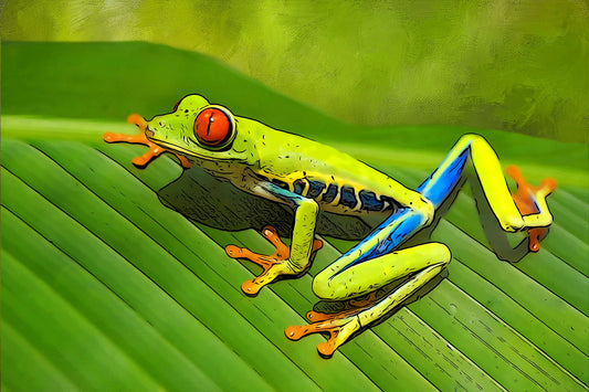 Red Eyed Tree Frog Fabric Panel - OCE-013C