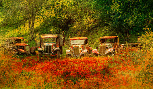 Fun Size Field of Trucks Fabric Panel - FUN-038