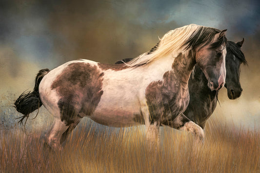 Two Powerful Wild Stallions Fabric Panel - AHS-053C