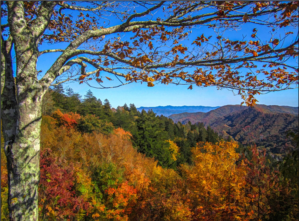 Smokies Fall Scene Fabric Panel - NPSM-004C
