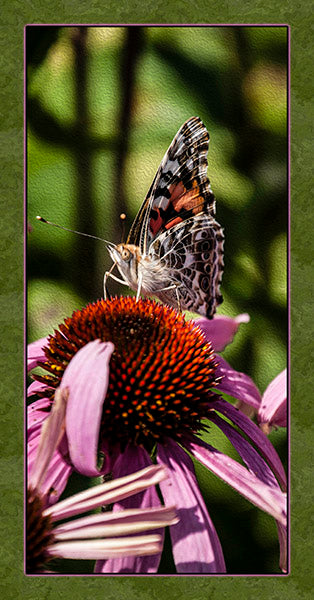 Up Close Moth on Pink Daisy Fabric Panel  - BRM-001C