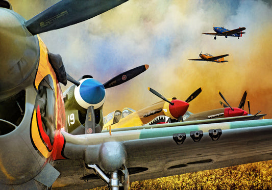 Vintage Airplanes Fabric Panel - AFT-007C