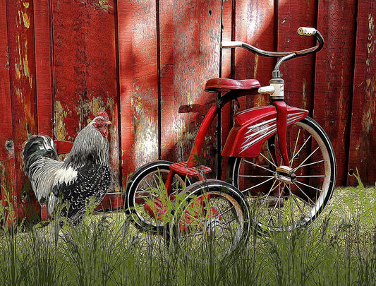 Vintage Tricycle Fabric Panel - AFT-006C