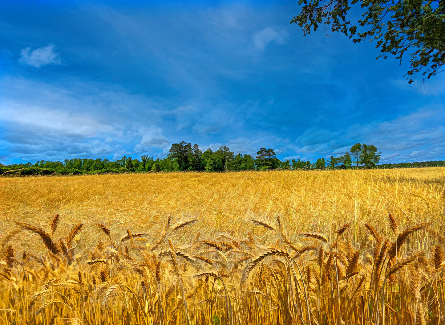 Waves of Grain Fabric Panel - FAR-004C