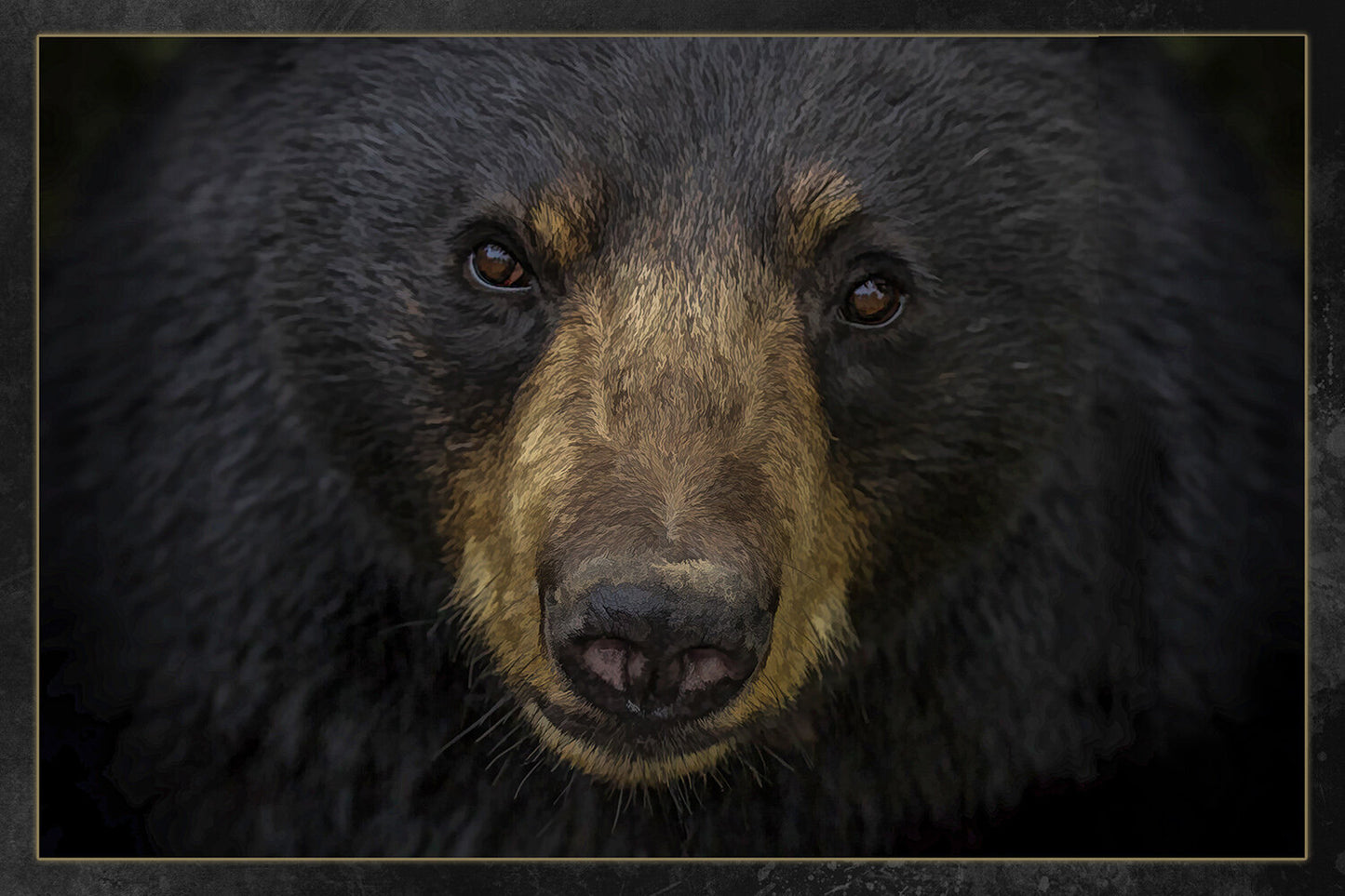 Fun Size Black Bear Face Fabric Panel - FUN-062