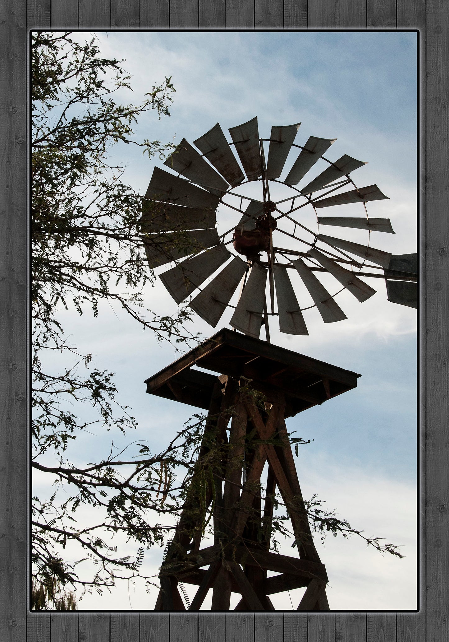 Windmill Silhouette Fabric Panel - FAR-017C