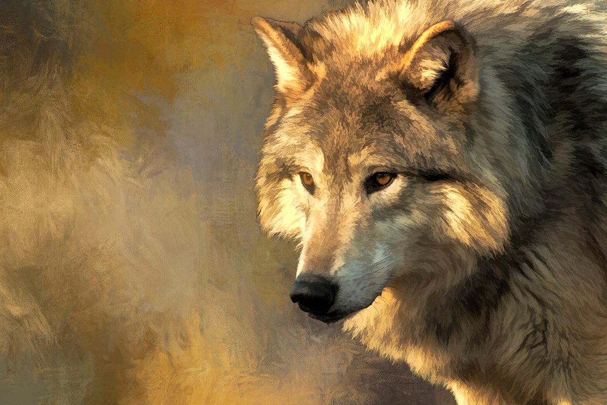 Closeup Gray Wolf Fabric Quilt Panel - ANW-022C