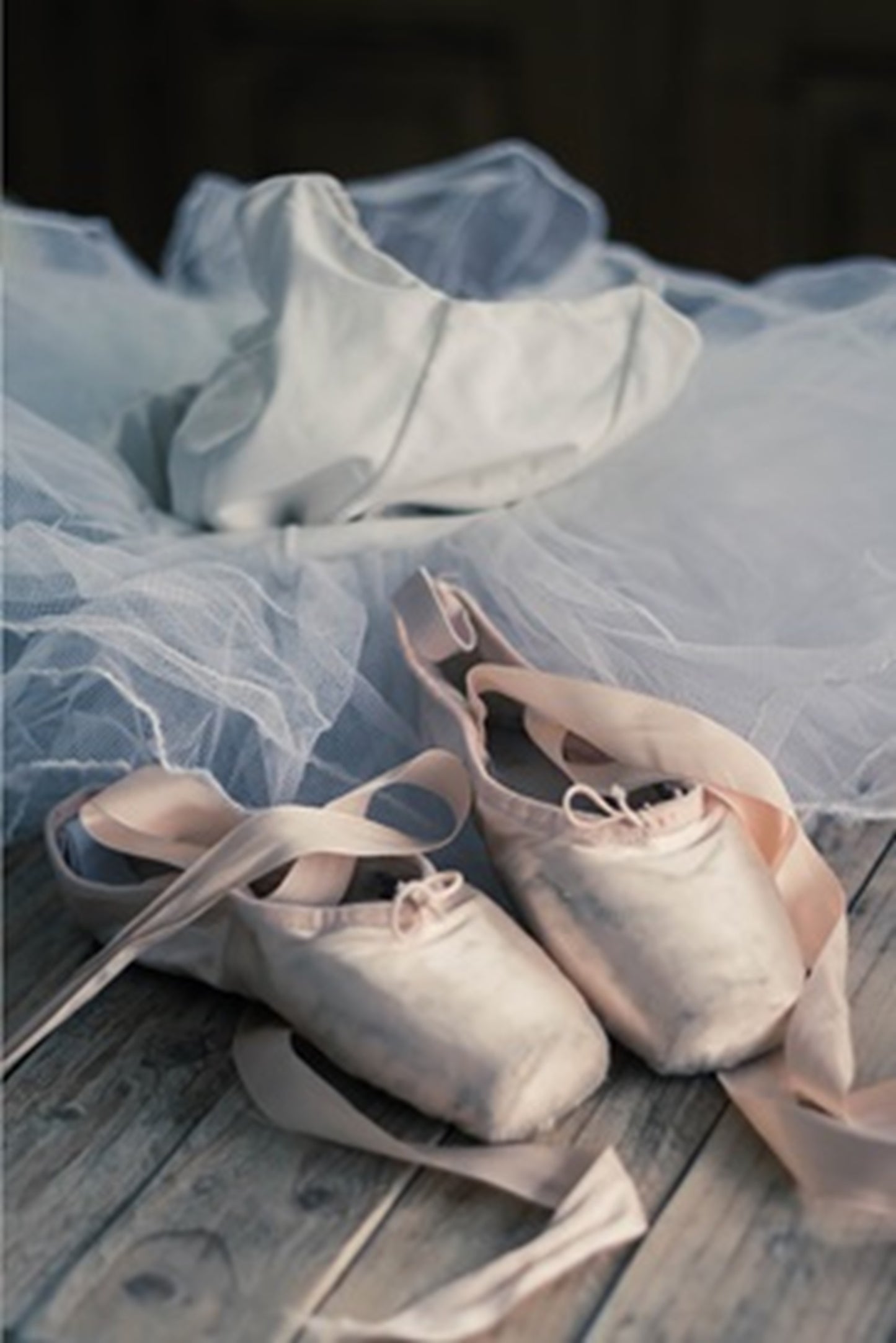 Before the Ballet Fabric Panel - MAD-010C