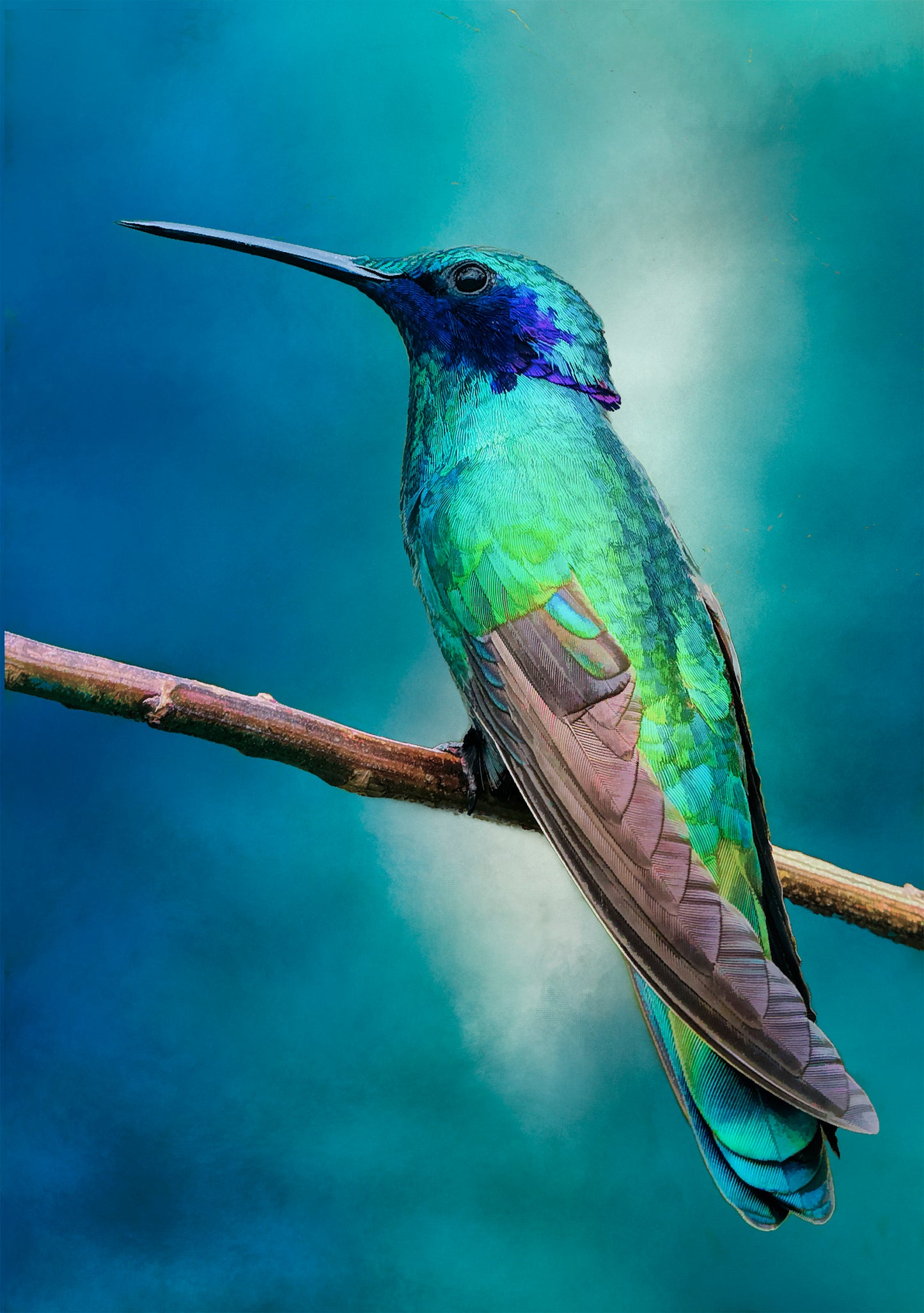 Bejeweled Beauty Hummingbird at Rest without Graphics Fabric Panel - BHB-007C