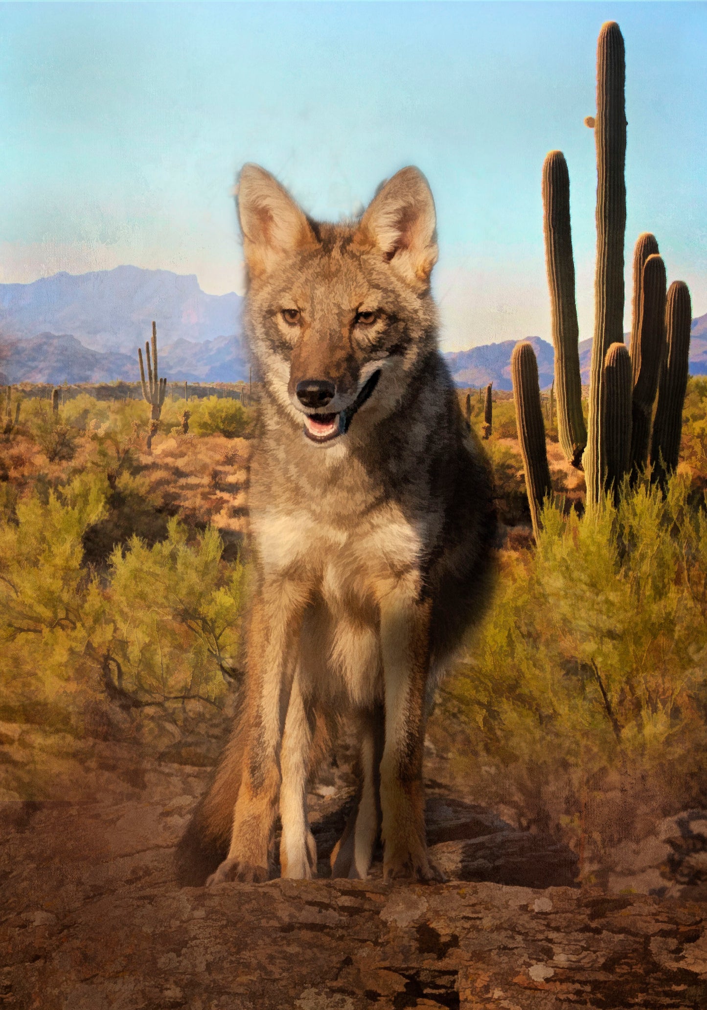 Desert Coyote Fabric Panel - ANW-021C