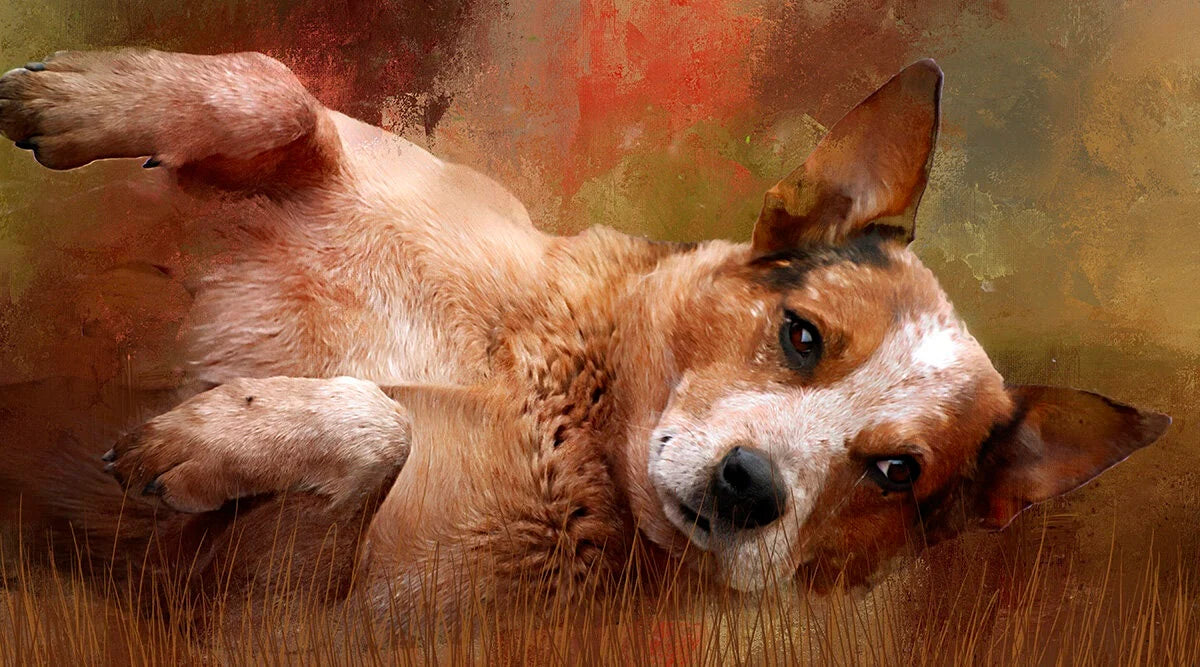 Stock Dog Fabric Panel - AFF-011C