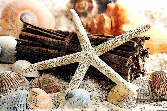 Sally's Seashells Fabric Panel - OCE-030C